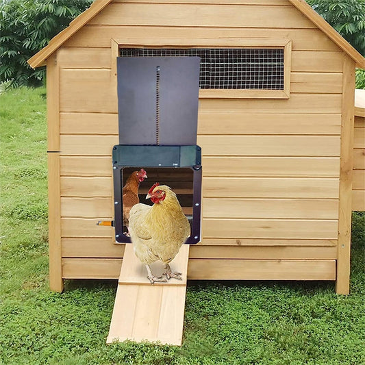 Automatic Chicken Coop Door