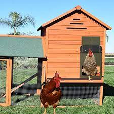 Automatic Chicken Coop Door